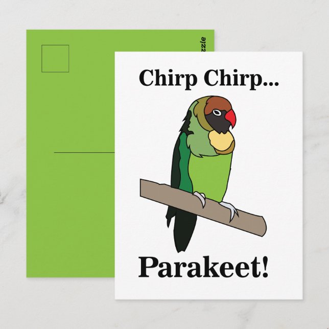 Carte Postale Perroquet oiseau  (Devant / Derrière)