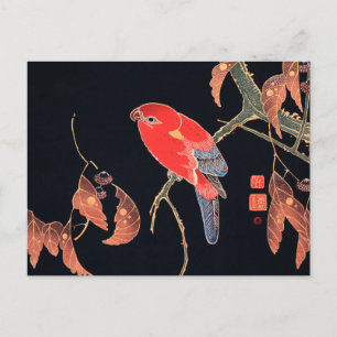 Carte Postale Perroquet rouge sur la branche d'un arbre par Ito