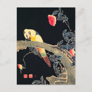 Carte Postale Perroquet sur la branche d'un Rose en fleurs Bush