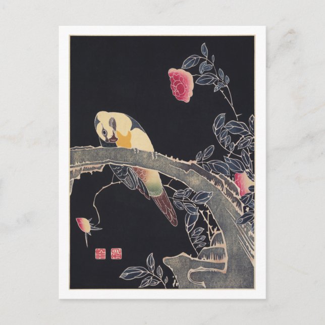 Carte Postale Perroquet sur la branche, Flower Rose Bush, Jakuch (Devant)