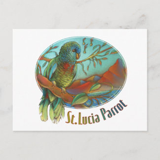 Carte Postale Perroquet tropical du St Lucia