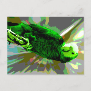 Carte Postale Perroquet vert 6537