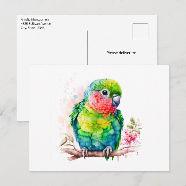 Carte Postale Perroquet vert - Bébé mignon oiseau (Devant / Derrière)