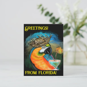 Carte Postale Perroquets de fête