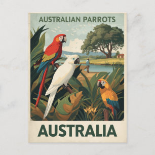 Carte Postale Perroquets fauniques Australie vintage