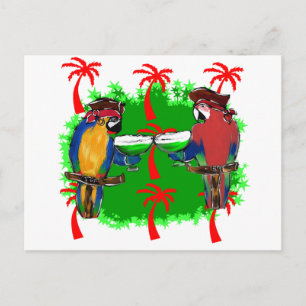 CARTE POSTALE PERROQUETS PIRATES