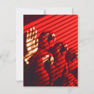 Carte Postale Perroquets rouges et main
