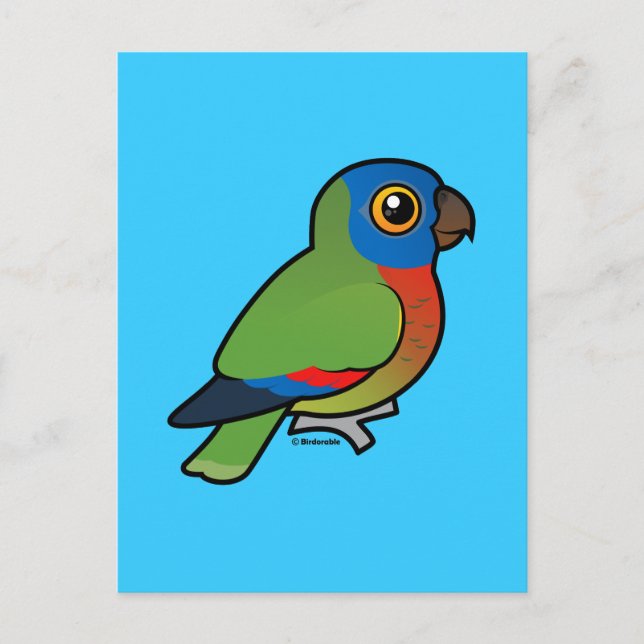 Carte Postale Perrot de Sainte-Lucie (Devant)