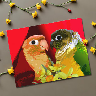 Carte Postale Perruches à la crème douce et verte Conure en Love