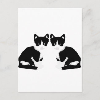 Carte Postale persephone&hades 'tuxedo cat'