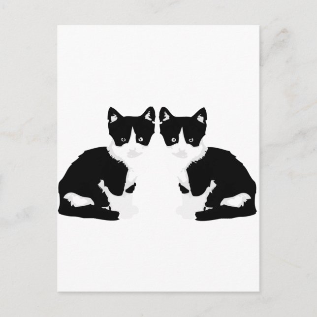 Carte Postale persephone&hades 'tuxedo cat' (Devant)