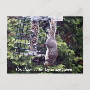 Carte Postale Persistance