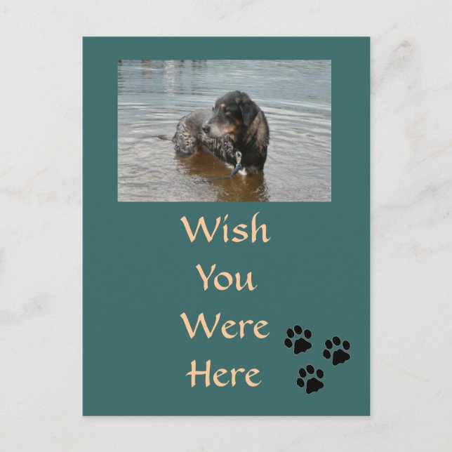 Carte postale personnalisable (Devant)