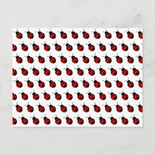 Carte postale personnalisable Ladybugs