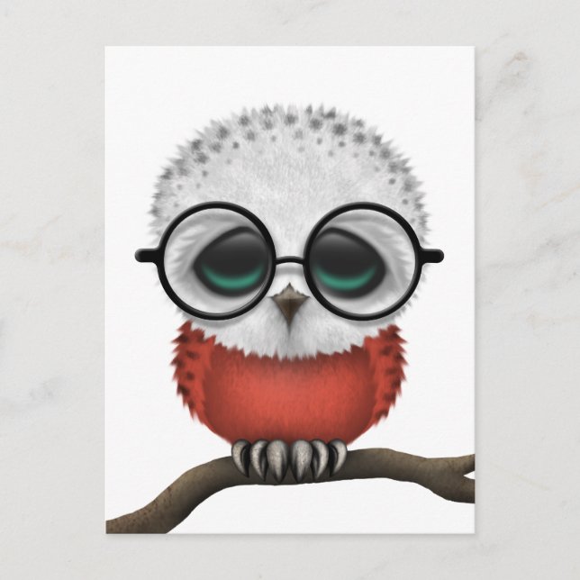 Carte Postale Personnalisable Nerdy Polonais Baby Owl Chic (Devant)