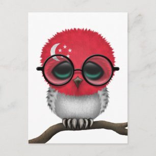 Carte Postale Personnalisable Nerdy Singapore Baby Owl Chic