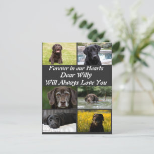 Carte Postale Personnalisation moderne Pet Memorial 6 Photo Coll