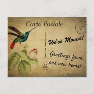 Carte Postale Personnalisé Nous avons déplacé Faire-part oiseau