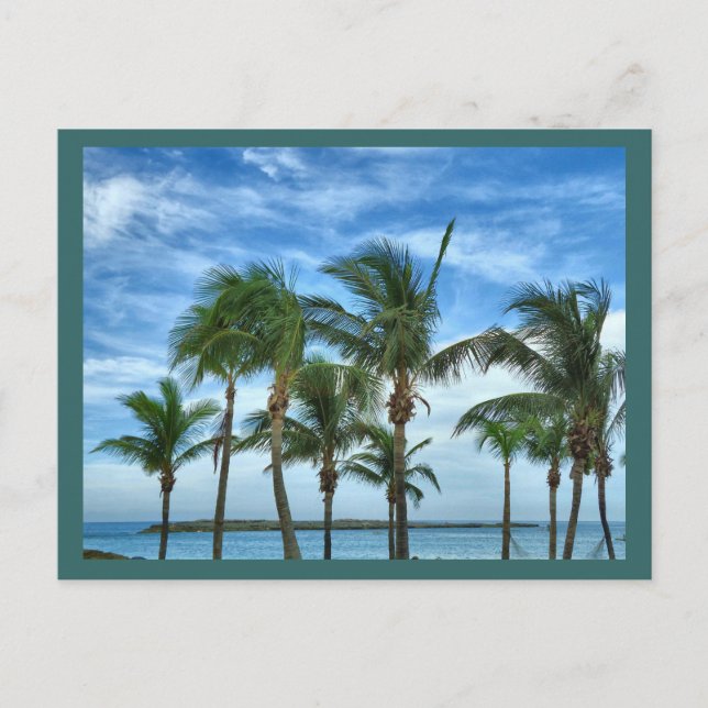 Carte postale personnalisée d'après-midi tropical (Devant)