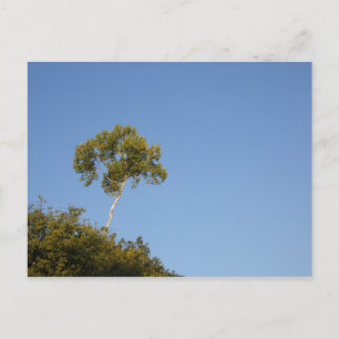 Carte postale personnalisée de l'arbre de la foule