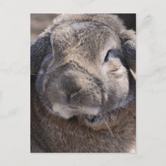 Carte Postale Personnaliser (Devant)
