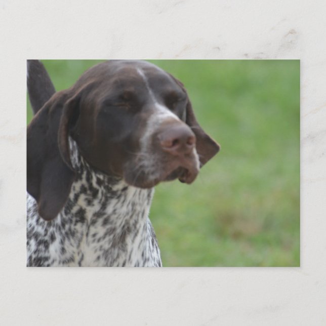 Carte Postale Personnaliser (Devant)