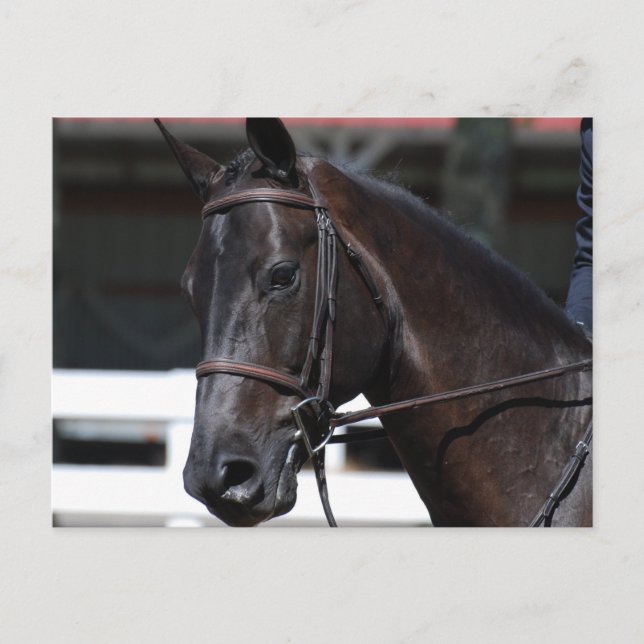 Carte Postale Personnaliser (Devant)