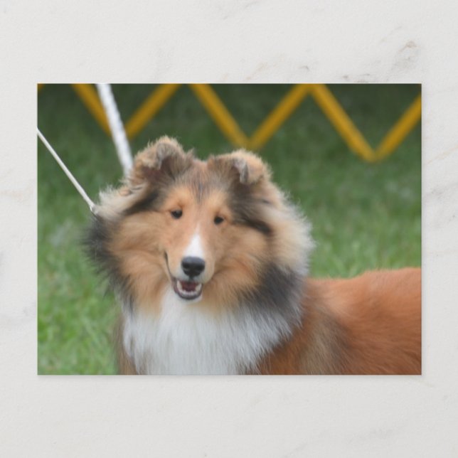 Carte Postale Personnaliser (Devant)