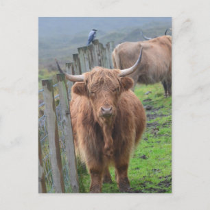 Carte Postale Personnaliser