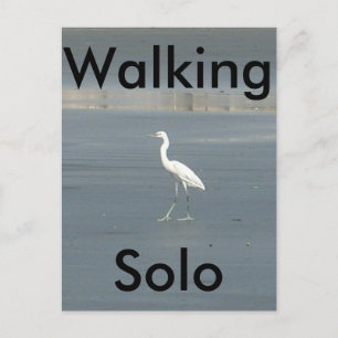 Carte Postale Personnaliser