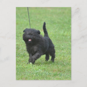 Carte Postale Personnaliser