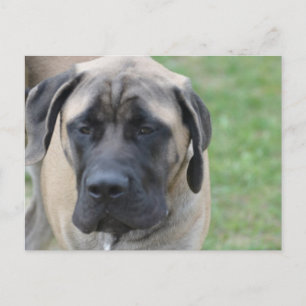 Carte Postale Personnaliser