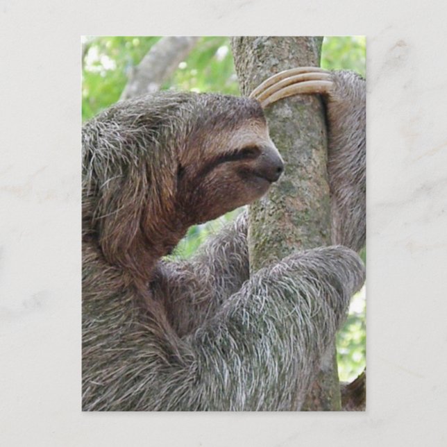 Carte Postale Personnaliser (Devant)