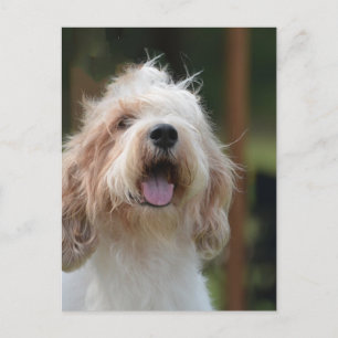 Carte Postale Personnaliser