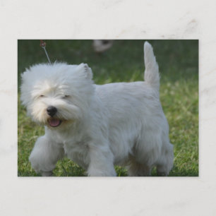 Carte Postale Personnaliser