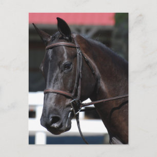 Carte Postale Personnaliser