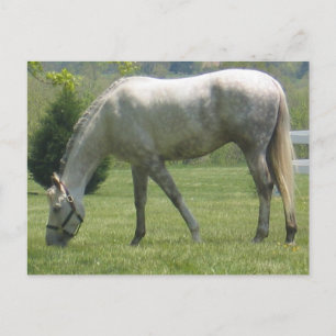 Carte Postale Personnaliser