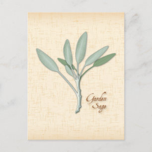 Carte postale Personnaliser Garden Sage Herb