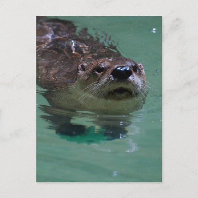 Carte Postale Personnaliser le produit (Devant)