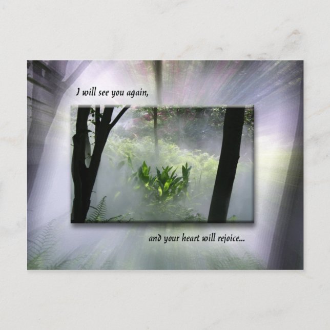 Carte Postale Personne Ne Prendra Votre Joie (Devant)