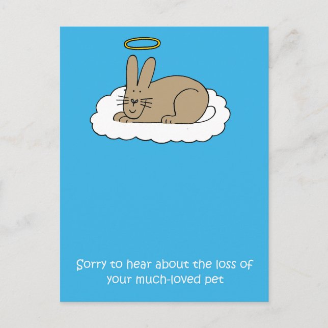 Carte Postale Perte de la sympathie du lapin d'animal (Devant)