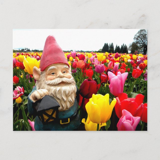 Carte Postale Pétales de gnome (Devant)