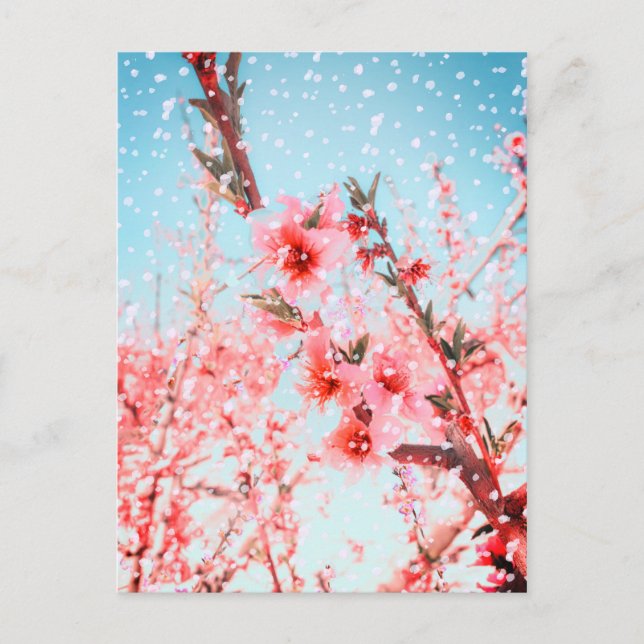 Carte Postale Pétales volants et fleurs roses (ou neige ?) (Devant)
