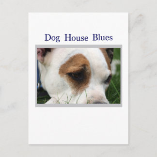 Carte Postale Pete Pit1