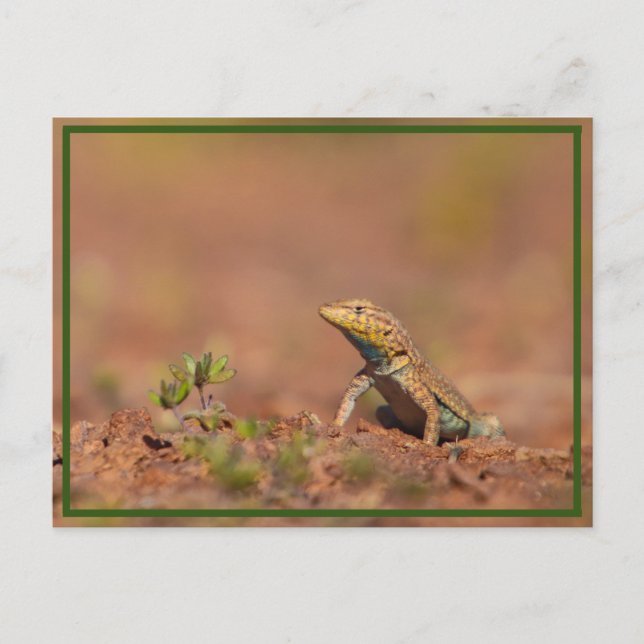 Carte Postale petit (Devant)