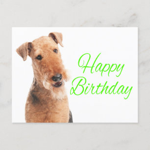 Carte Postale Petit Airedale Terrier Chien Chien Chien Chien Chi