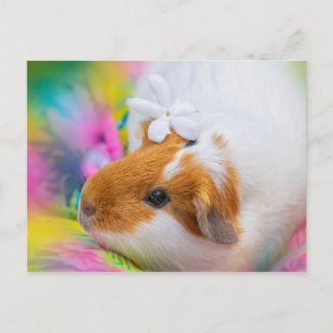 Carte Postale Petit animal de compagnie de porc de Guinée