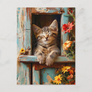 Carte Postale Petit Chaton Endormi dans le Hangar du Jardin en F