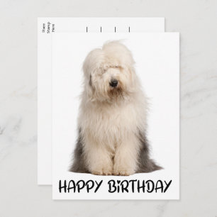 Carte Postale Petit Chien Chien Chien Vieux Anglais Chien à Chie