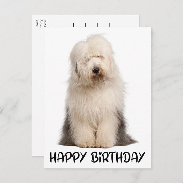 Carte Postale Petit Chien Chien Chien Vieux Anglais Chien à Chie (Devant / Derrière)